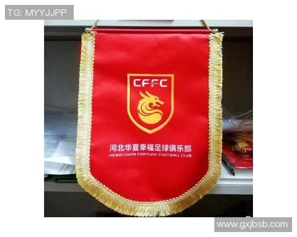 武汉足球队引领潮流最新足球意识TOP10榜单揭晓